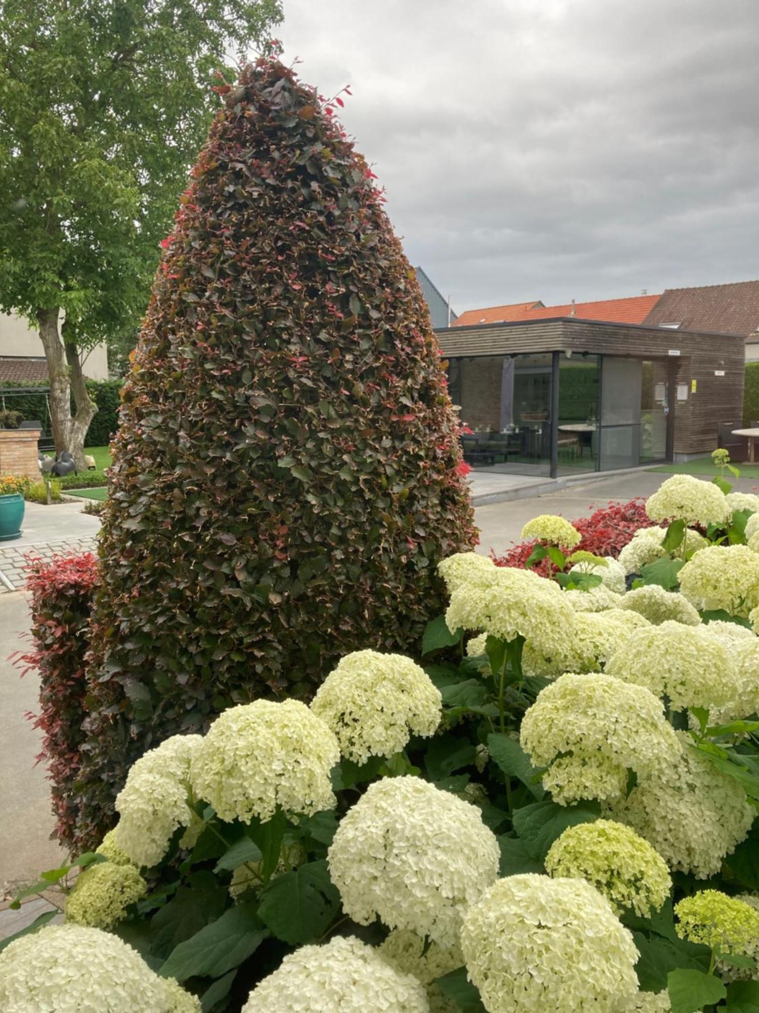 B&B Bertem Natuur Exteriör bild
